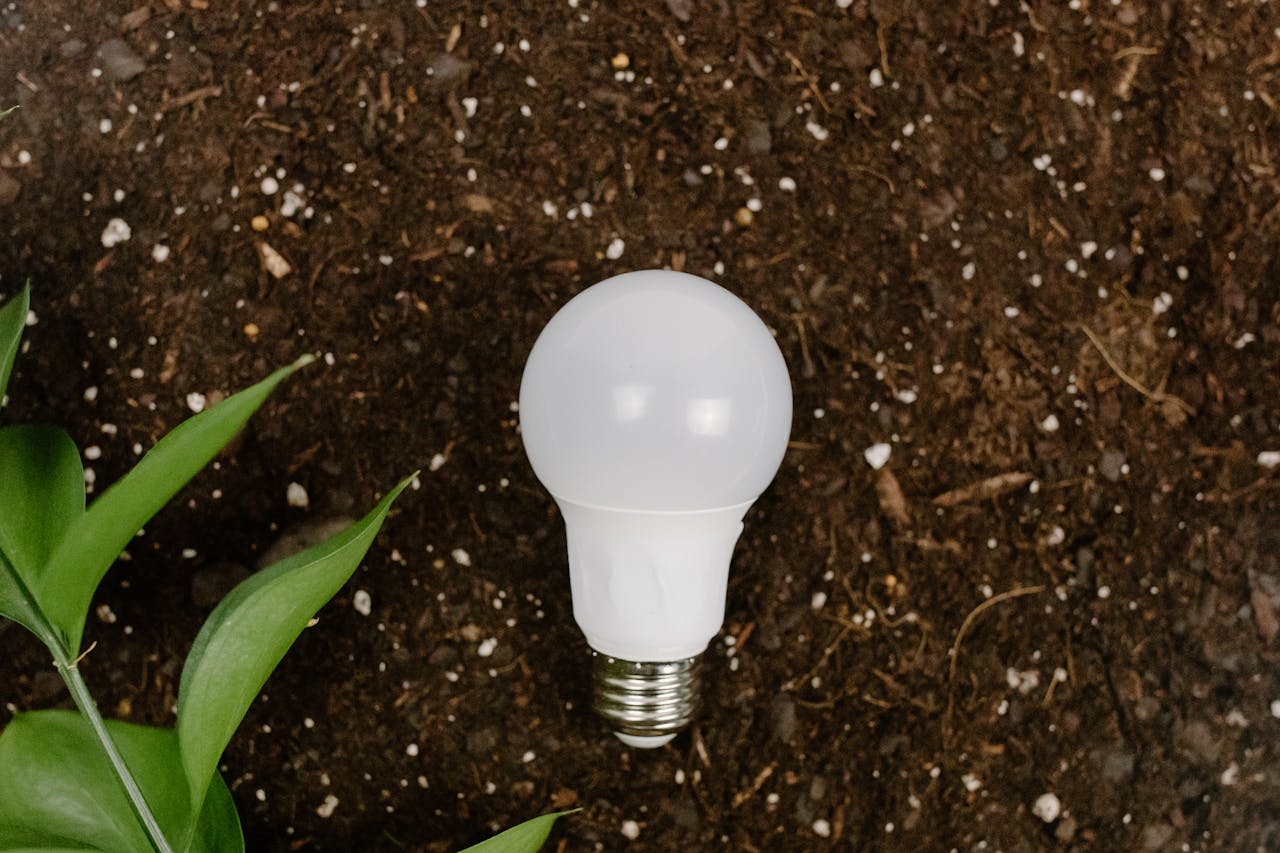 A light bulb on earthy soil with green leaves, symbolizing sustainability and eco-friendliness.
